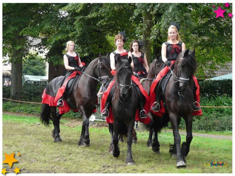 Moeslands Festival Schaijk 20 en 21 april