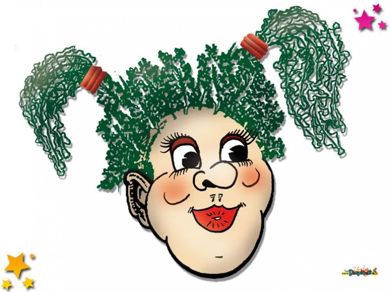 Nog enkele kaarten beschikbaar voor pronkzitting Schaijk