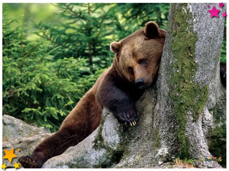 Smoesproat: Wintersloap