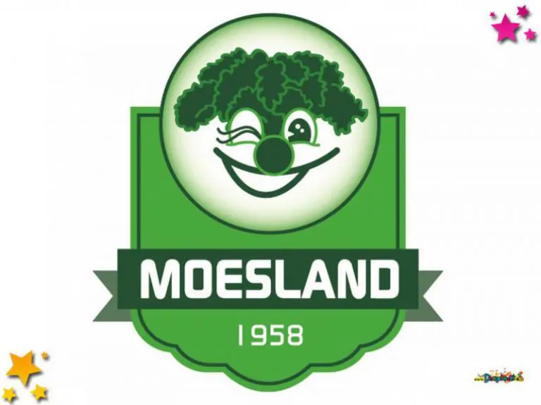 Vrouwen mogen bij de Moeslandse raad van 11