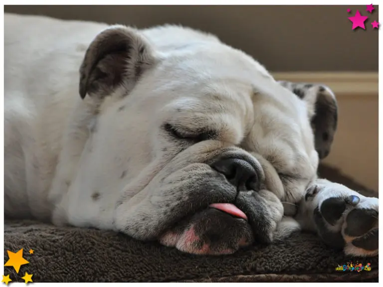 Smoesproat" Het is nog rustig in ons Moesland...