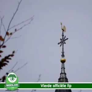 Uitleg tips Prins Djarek