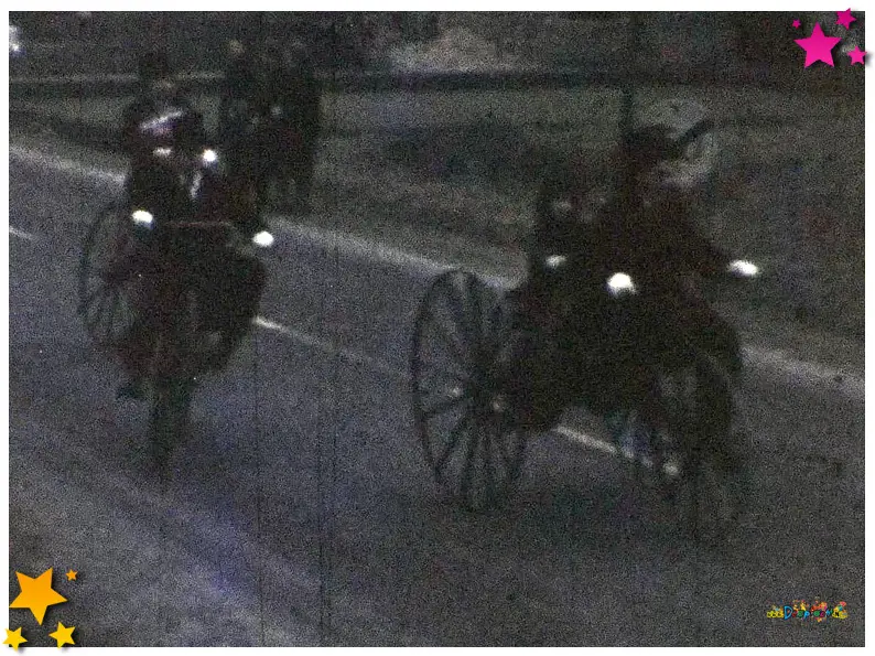 Moeslands carnaval 1964