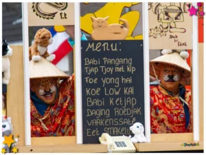 Opvallende wagens bij de ideeën optocht Schaijk 2024