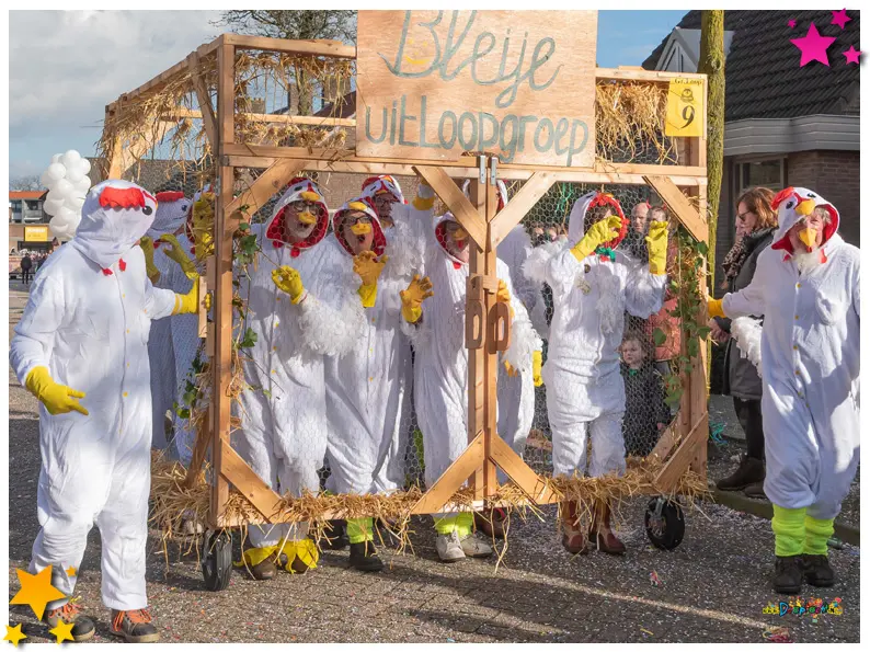 Fotografen optocht Moesland gezocht