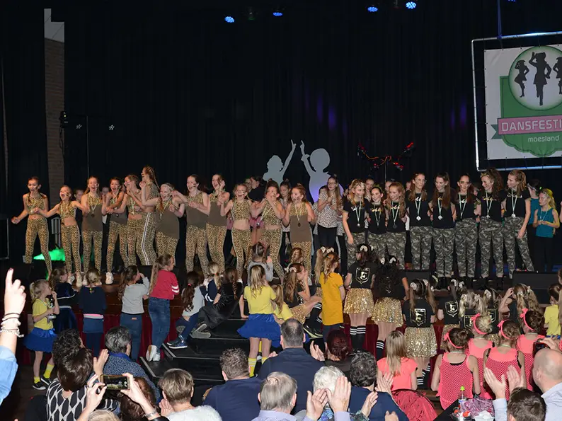 Dansfestival 2019